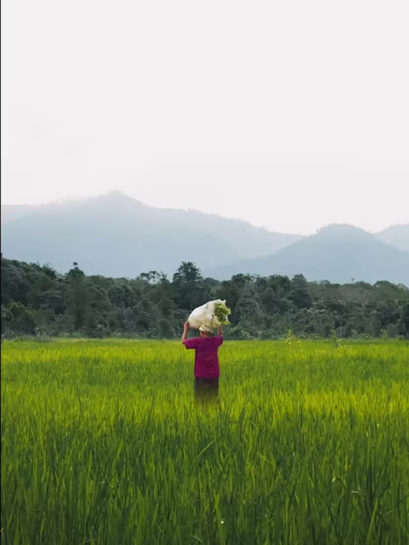 Nature Dependant People around Wetlands